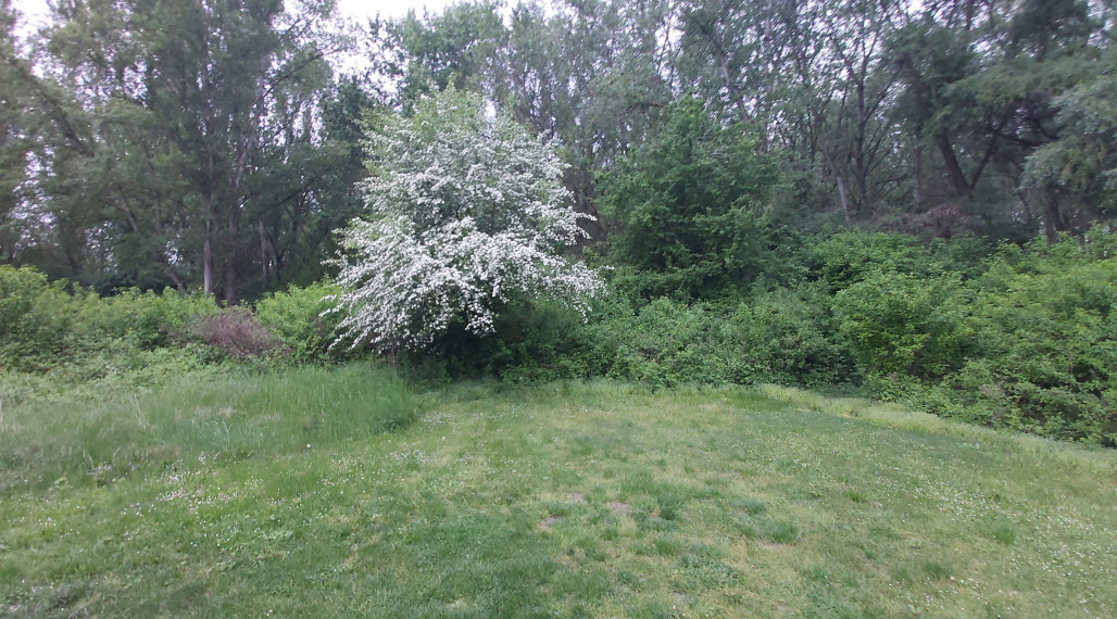 Na predaj orná pôda Padáň, Dolný Bar