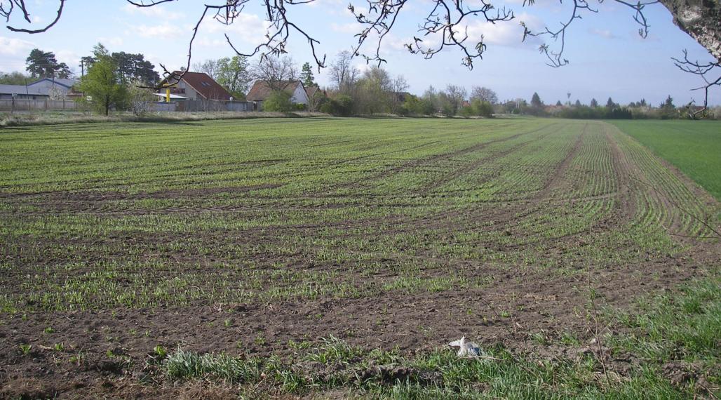 Predaj stavebných pozemkov v katastri Malé Blahovo okres DS