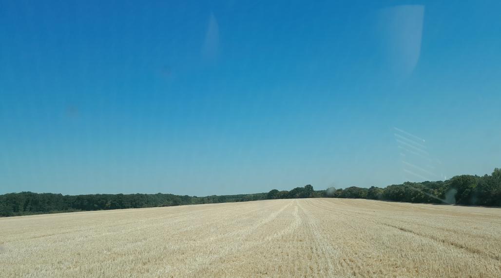 Prenájom orná pôda v rozsahu 8hek.(80.000m2) v katastri Rohovce okres DS