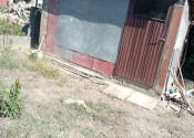 Predaj záhradný pozemok 423m2 v obci Vojka nad Dunajom - fotografia 4
