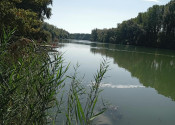 Predaj záhradný pozemok 423m2 v obci Vojka nad Dunajom - fotografia 1