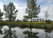 Kľúčovec.Slnečný stavebný pozemok do 10km od mesta Veľký Meder - fotografia 6