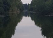 Kľúčovec.Slnečný stavebný pozemok do 10km od mesta Veľký Meder - fotografia 10