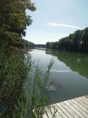 Predaj záhradný pozemok 423m2 v obci Vojka nad Dunajom - fotografia 1