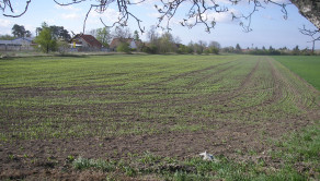 Predaj priemyselný pozemok - Intravilán na Bratislavskej ceste v Šamoríne - fotografia 1