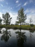 Kľúčovec.Slnečný stavebný pozemok do 10km od mesta Veľký Meder - fotografia 6