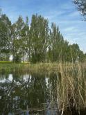 Kľúčovec.Slnečný stavebný pozemok do 10km od mesta Veľký Meder - fotografia 8