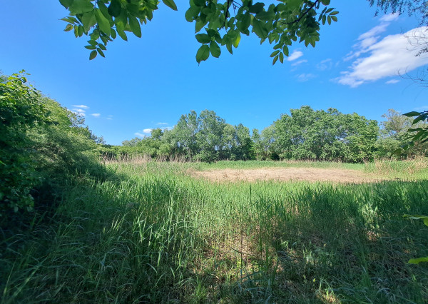 Rekreačný pozemok 75 árov, Ňárad pri Dunaji