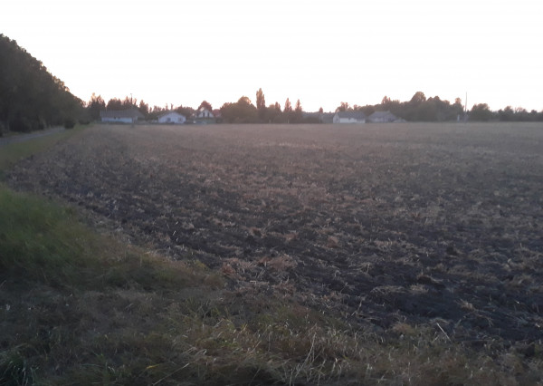 Predaj orná pôda v katastri Rohovce v obci Kyselica