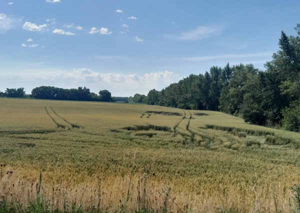 Predaj rožný pozemok o rozlohe 3509m2 na priemysel - Sklady, Logistika a menšia výroba v obci Oľdza okres Dunajská Streda.
