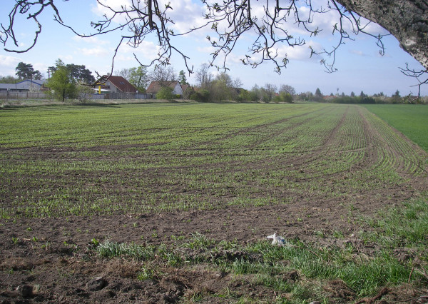 Predaj pozemok v celku Orná pôda 46.000m2 kataster Čakany okres DS pri asfaltovej ceste