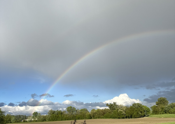 JEDINÁ REALITKA! Slnečný stavebný pozemky do 10km od mesta Veľký Meder