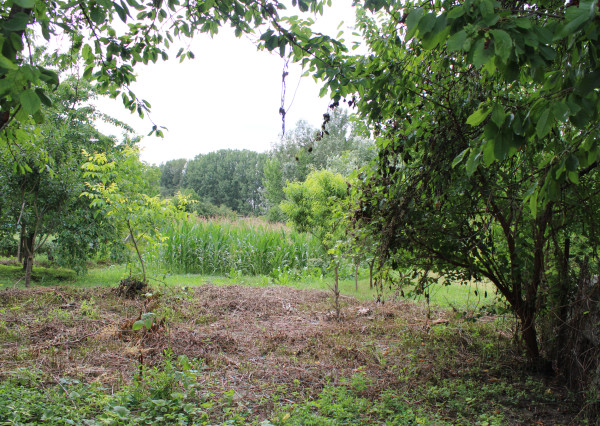 Pozemok pre DOMY a BYTY  v lokalite JUROVÁ!