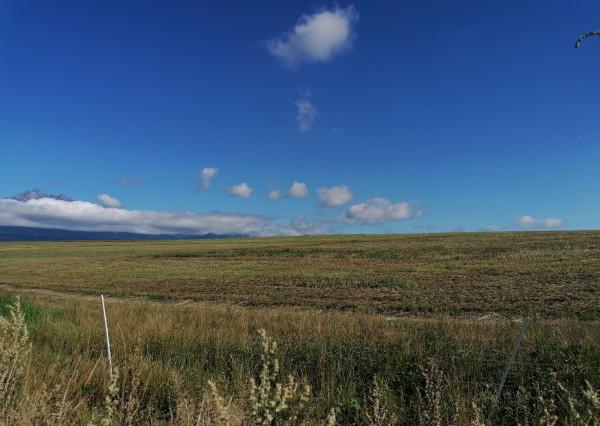 Predaj pozemkov na Radové 4i domy v obci Hviezdoslavov