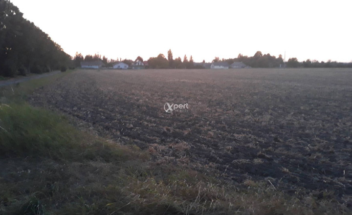 Hľadám Kúpim ornú pôdu v celku okres Dunajská Streda  