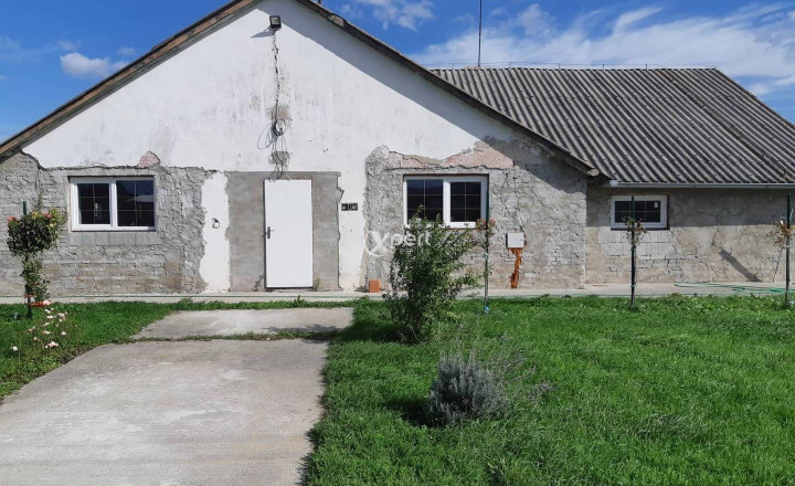 VEĽKÝ POZEMOK - Podnikateľský účely so stavbami - fotografia 4