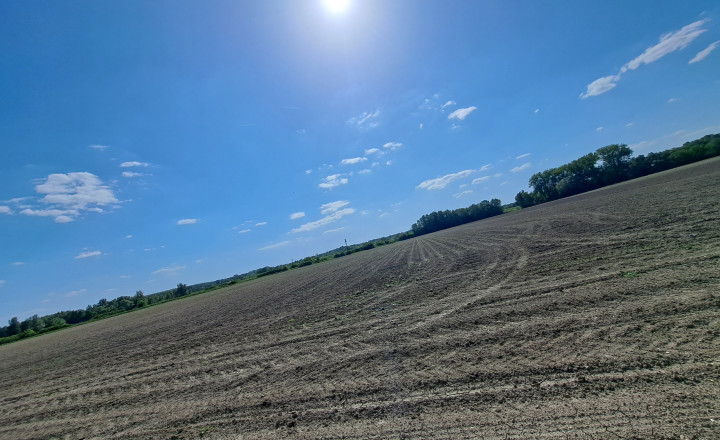 Rekreačný pozemok 75 árov , Ňárad - fotografia 5