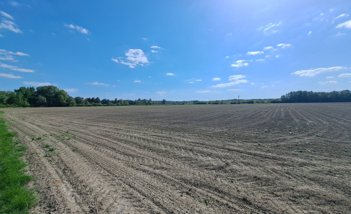 Rekreačný pozemok 75 árov , Ňárad - fotografia 7