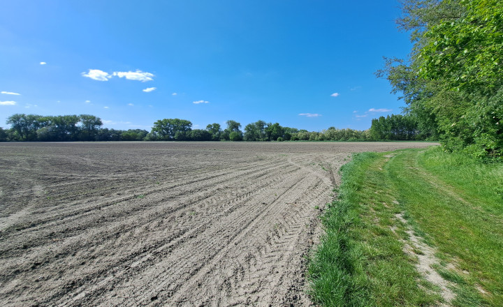 Rekreačný pozemok 75 árov , Ňárad - fotografia 8