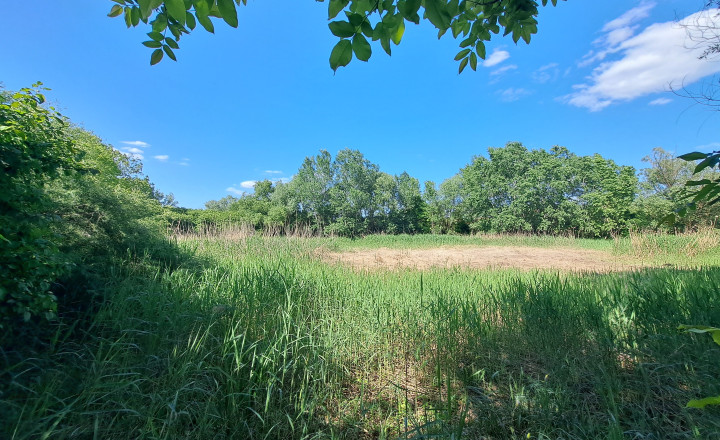 Rekreačný pozemok 75 árov , Ňárad - fotografia 9