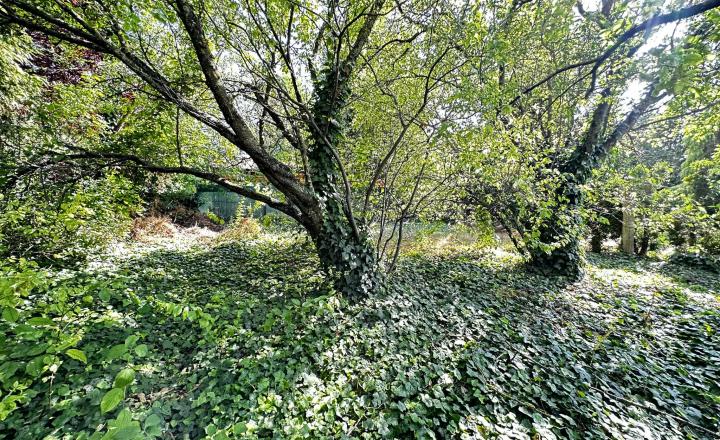 NOVÁ CENA / 140 000,- € Na predaj 3 izbový rodinný dom  s altánkom , s garážou a s krbom v tichej a pokojnej  lokalite v  obci Malé Dvorníky - fotografia 34