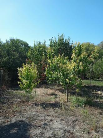 Predaj záhradný pozemok 423m2 v obci Vojka nad Dunajom - fotografia 1