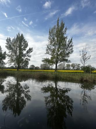 Kľúčovec.Slnečný stavebný pozemok do 10km od mesta Veľký Meder - fotografia 5
