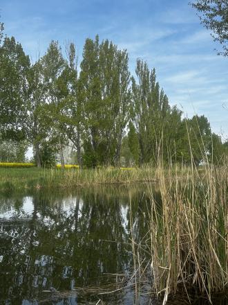 Kľúčovec.Slnečný stavebný pozemok do 10km od mesta Veľký Meder - fotografia 7