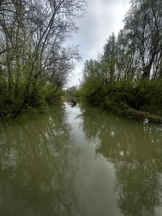 Kľúčovec.Slnečný stavebný pozemok do 10km od mesta Veľký Meder - fotografia 10