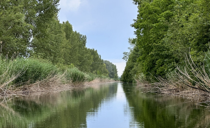 Slnečné stavebné pozemky neďaleko kúpeľného mestečka Veľký Meder a Dunajskej Stredy - fotografia 4